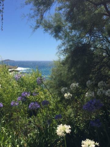 Appartamento Sanary Esterno foto